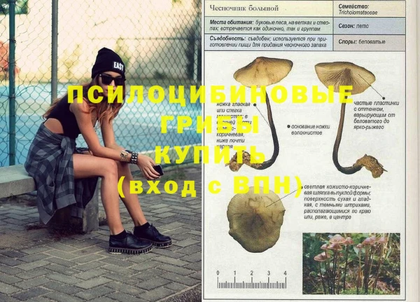 кокаин премиум Каменск-Шахтинский