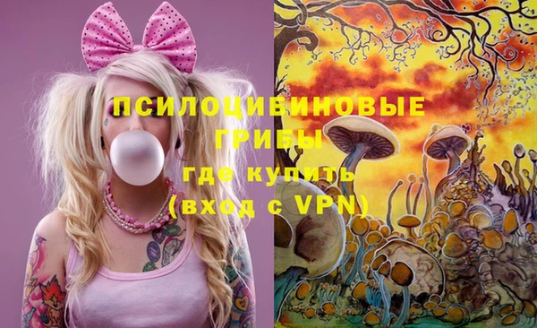 синтетический гашиш Каменка
