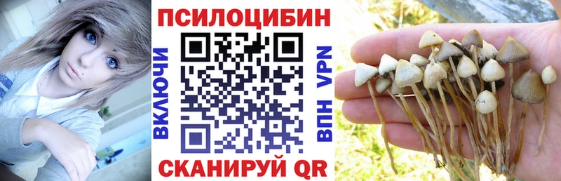 Галлюциногенные грибы Psilocybe  Купить  Красково 